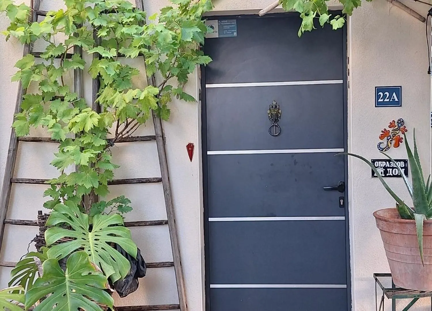Site Paradis Rue Colibri Avignon